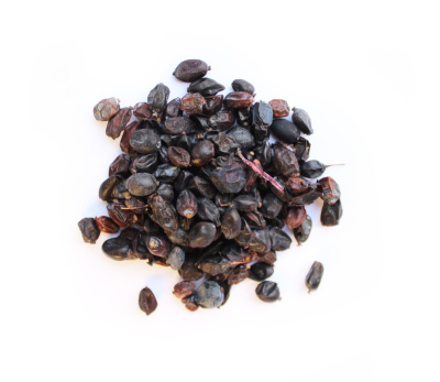 barbaris
